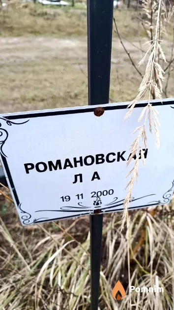 Романовская Л. А.
