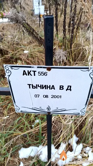 Тычина В. Д.