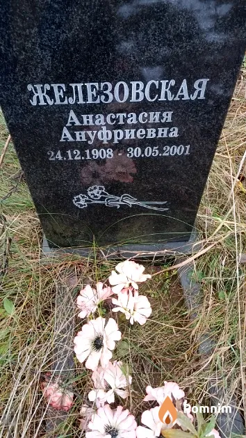 Железовская Анастасия Ануфриевна