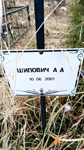 Шипович А. А.