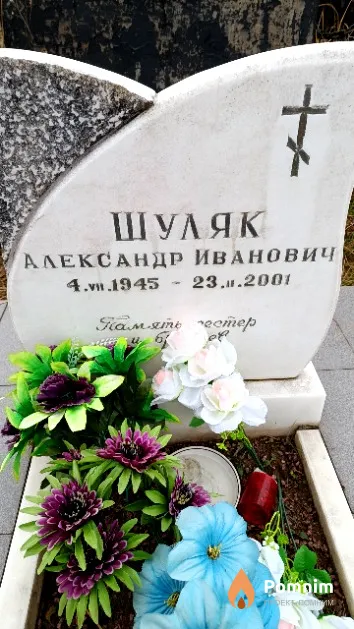Шуляк Александр Иванович
