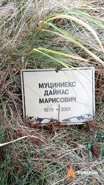 Муциниекс Дайнас Марисович