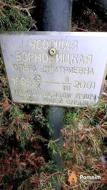 Борновицкая Ольга Дмитриевна