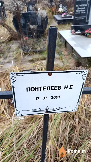 Понтелеев Н. Е.