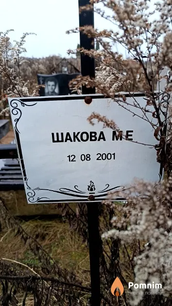 Шакова М. Е.