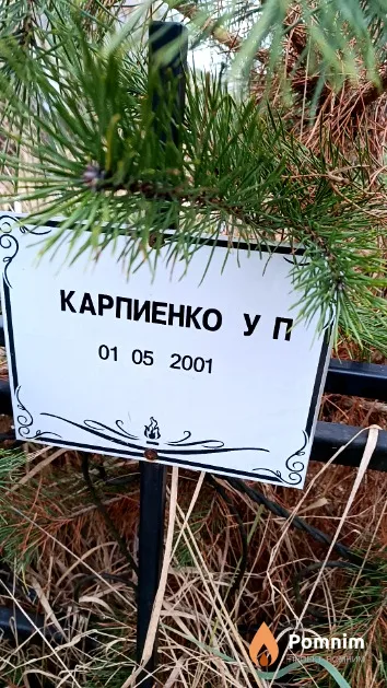 Карпиенко У. П.