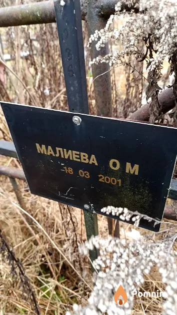Малиева О. М.