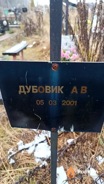 Дубовик А. В.