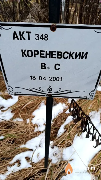 Кореневский В. С.