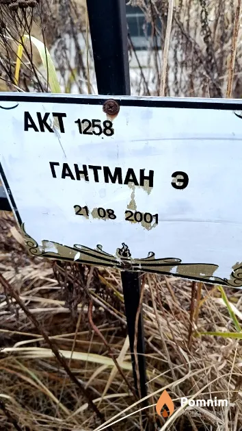 Гантман Э.