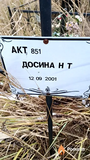 Досина Н. Т.