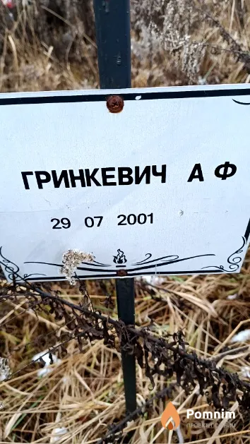 Гринкевич А. Ф.