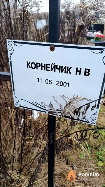 Корнейчик Н. В.