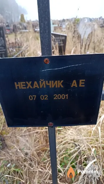 Нехайчик А. Е.
