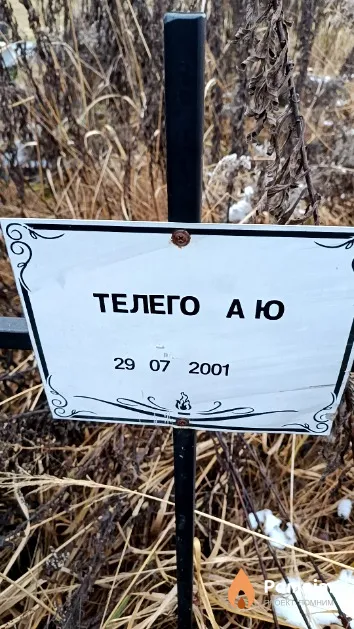 Телего А. Ю.