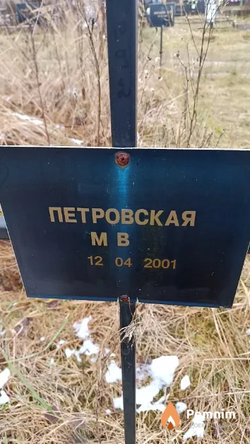 Петровская М. В.