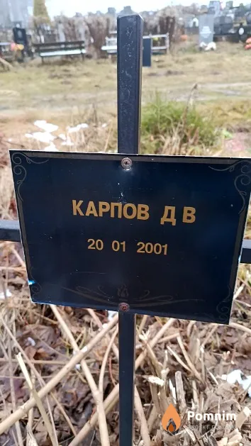 Карпов Д. В.