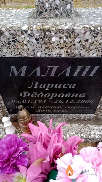 Малаш Лариса Фёдоравна