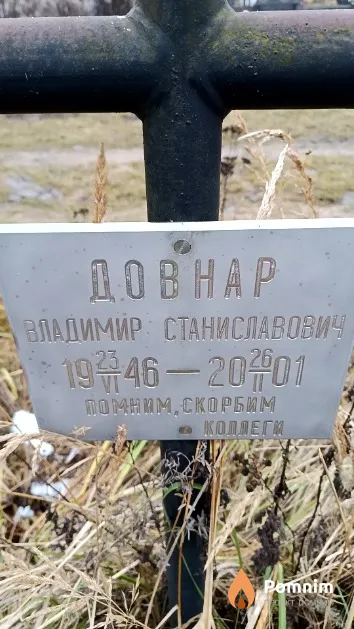Довнар Владимир Станиславович