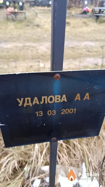 Удалова А. А.