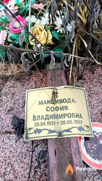 Манцивода София Владимировна