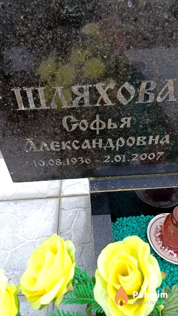 Шляхова Софья Александровна