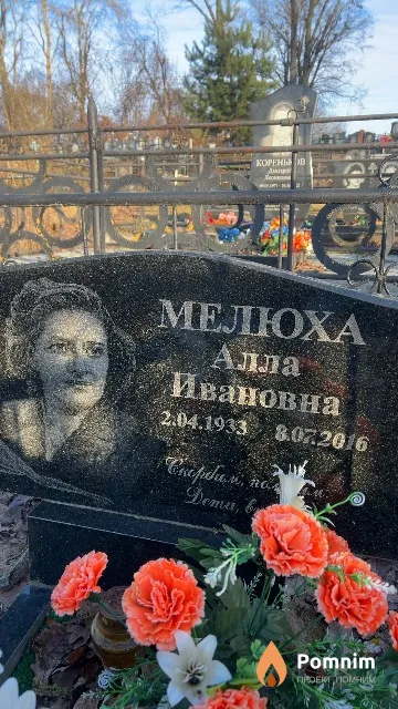 Мелюха Алла Ивановна