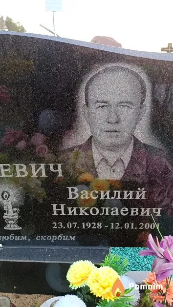 Евсеевич Василий Николаевич