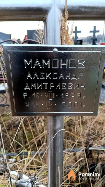 Мамонов Александр Дмитриевич