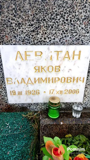 Левитан Яков Владимирович