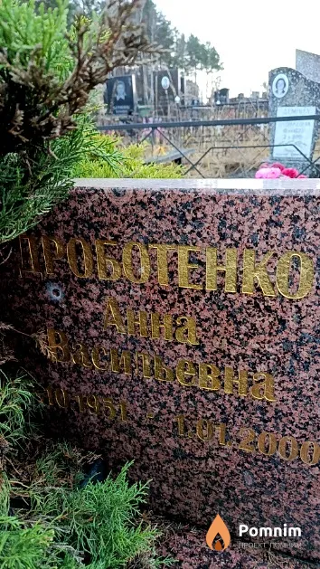 Дроботенко Анна Васильевна