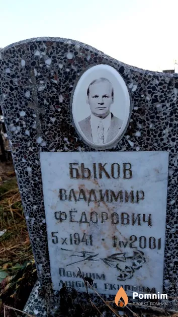 Быков Владимир Фёдорович