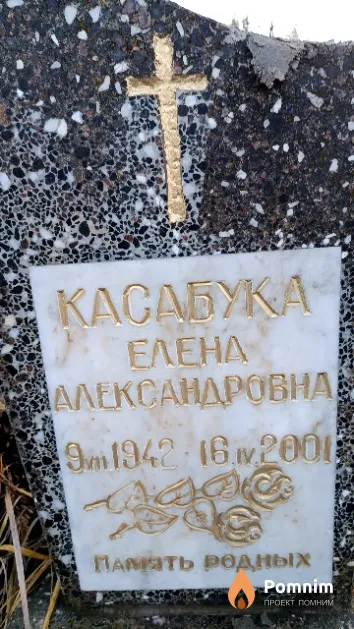 Касабука Елена Александровна