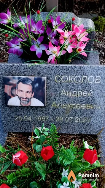 Соколов Андрей Алексеевич
