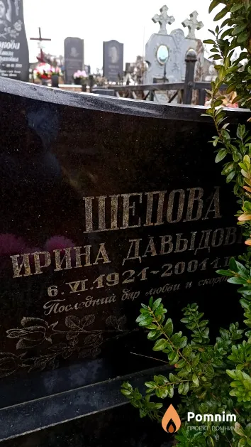 Шепова Ирина Давыдовна
