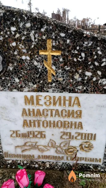 Мезина Анастасия Антоновна