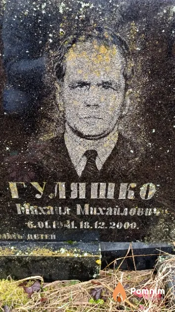 Гуляшко Михаил Михайлович