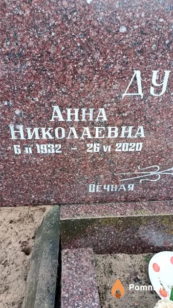 Дубовик Анна Николаевна