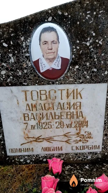 Товстик Анастасия Васильевна