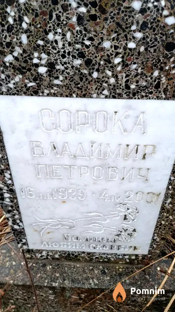 Сорока Владимир Петрович