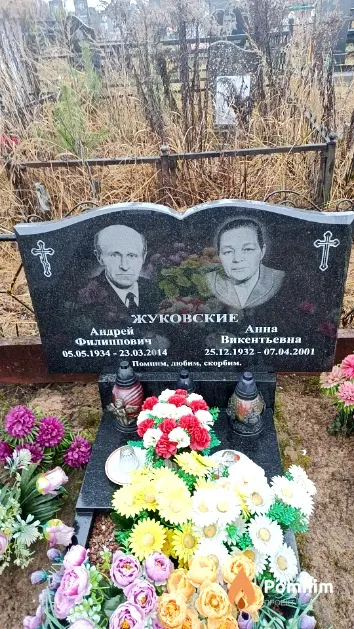 Жуковская Анна Викентьевна