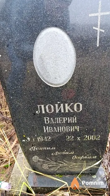 Лойко Валерий Иванович