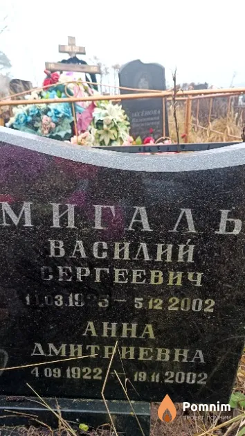 Мигаль Василий Сергеевич