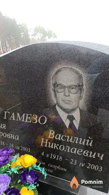 Гамезо Василий Николаевич