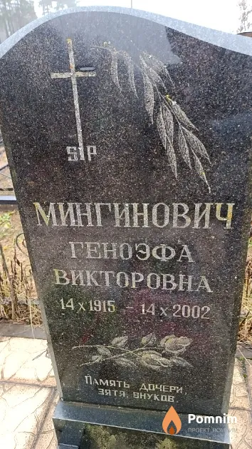 Мингинович Геноэфа Викторовна
