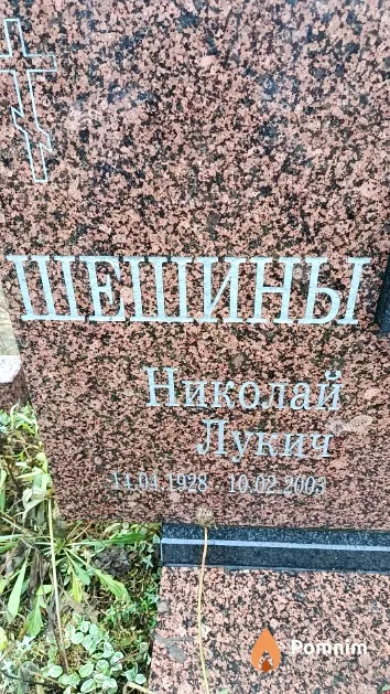 Шешин Николай Лукич