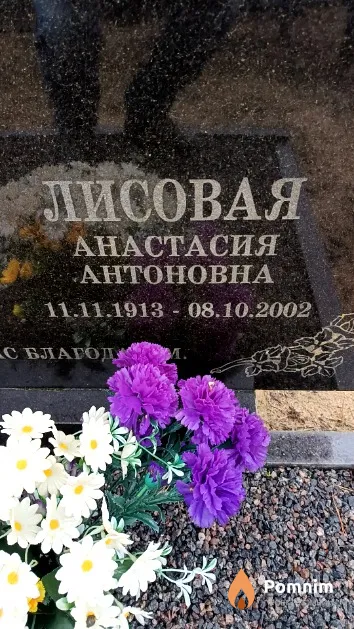 Лисовая Анастасия Антоновна