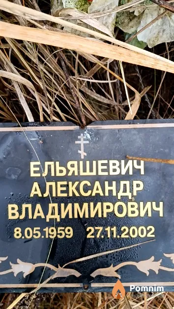 Ельяшевич Александр Владимирович
