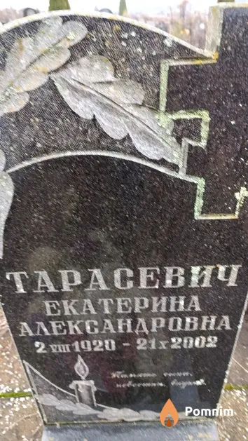 Тарасевич Екатерина Александровна