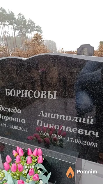 Борисов Анатолий Николаевич